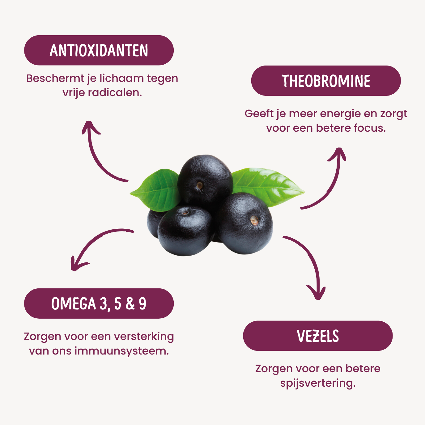 Açai Guarana Pack