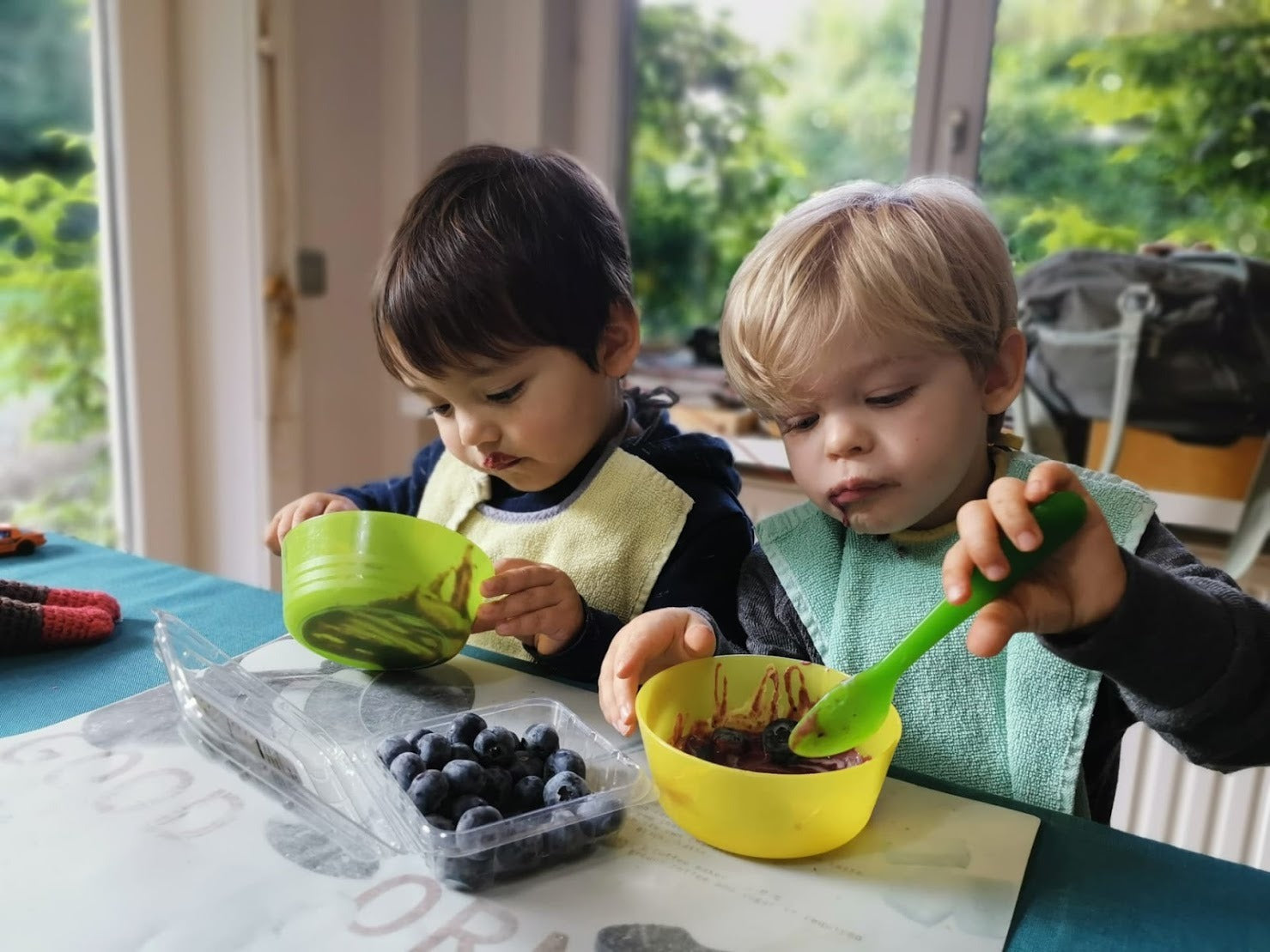 Açai - Kinderen - Holy Berry - gezond